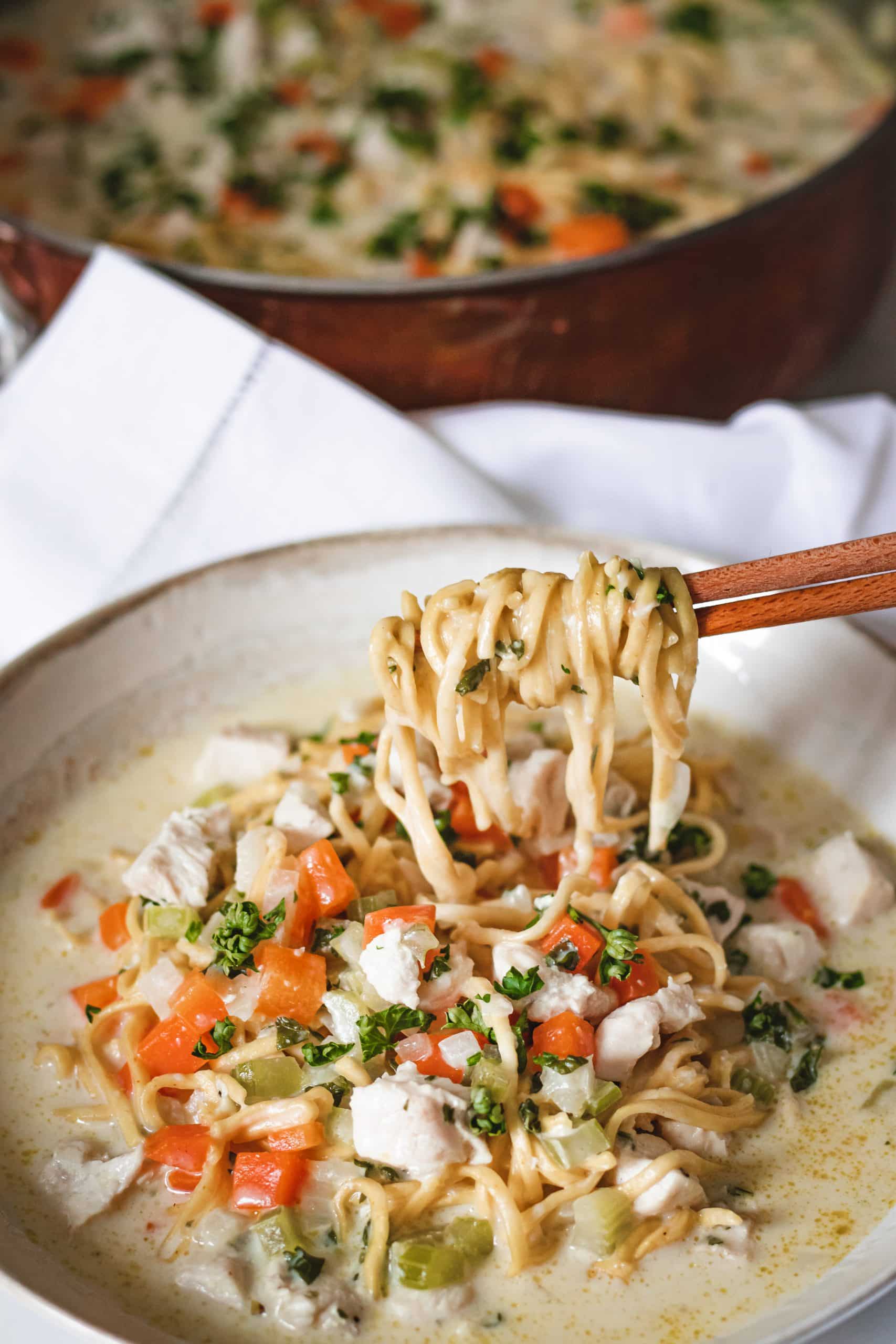 Creamy Noodle Soup with chicken