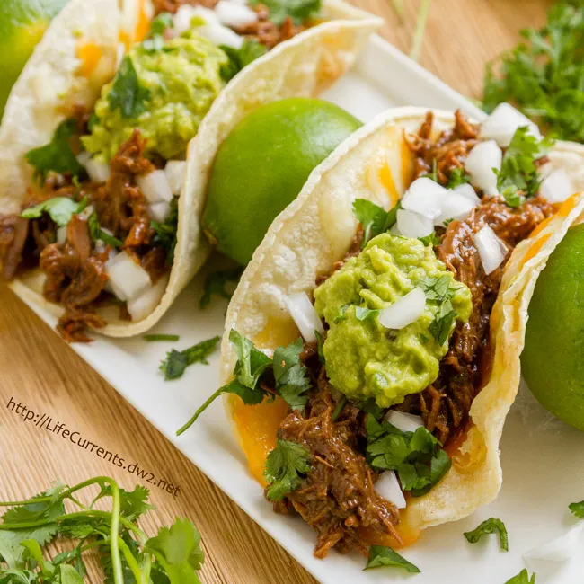 Crock Pot Carne Asada