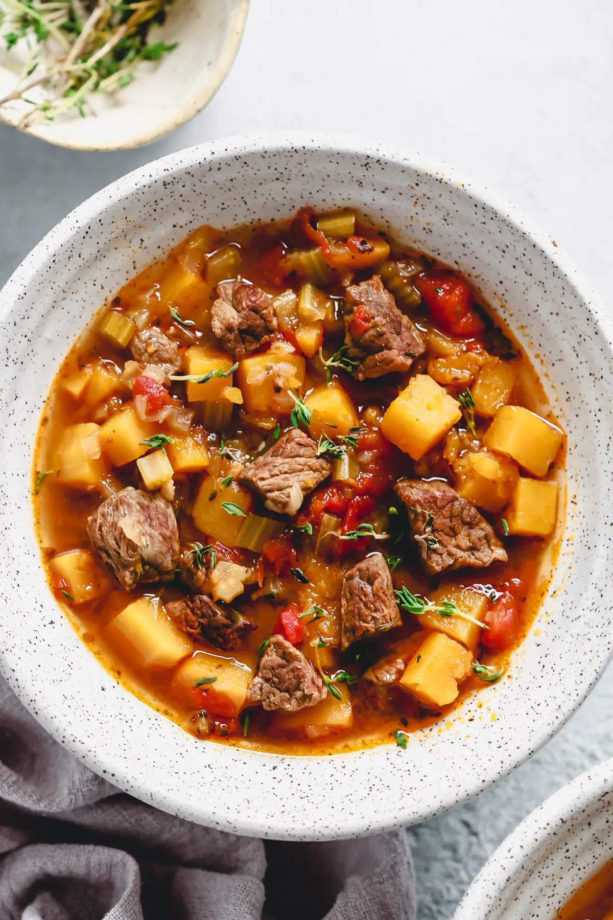 Instant Pot Vegetable Beef Soup