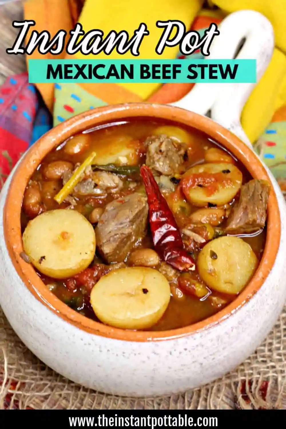 Tasty Instant Pot Mexican Beef Stew