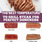 Best Temperature to Grill Steak for Perfect Doneness