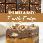 Turtle Fudge