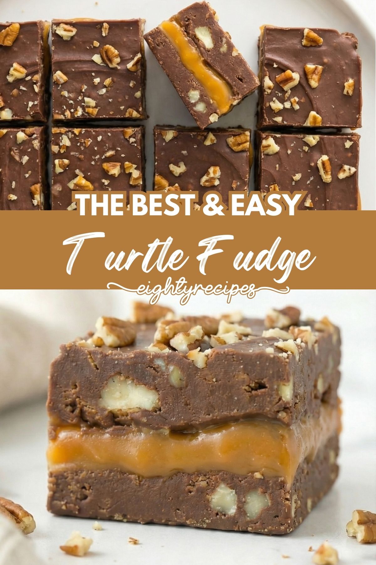Turtle Fudge