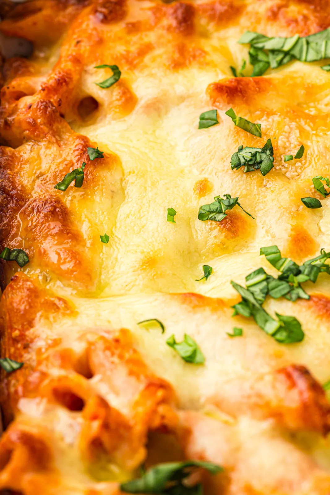 Close up of bubbly golden melted cheese on top of a pasta bake