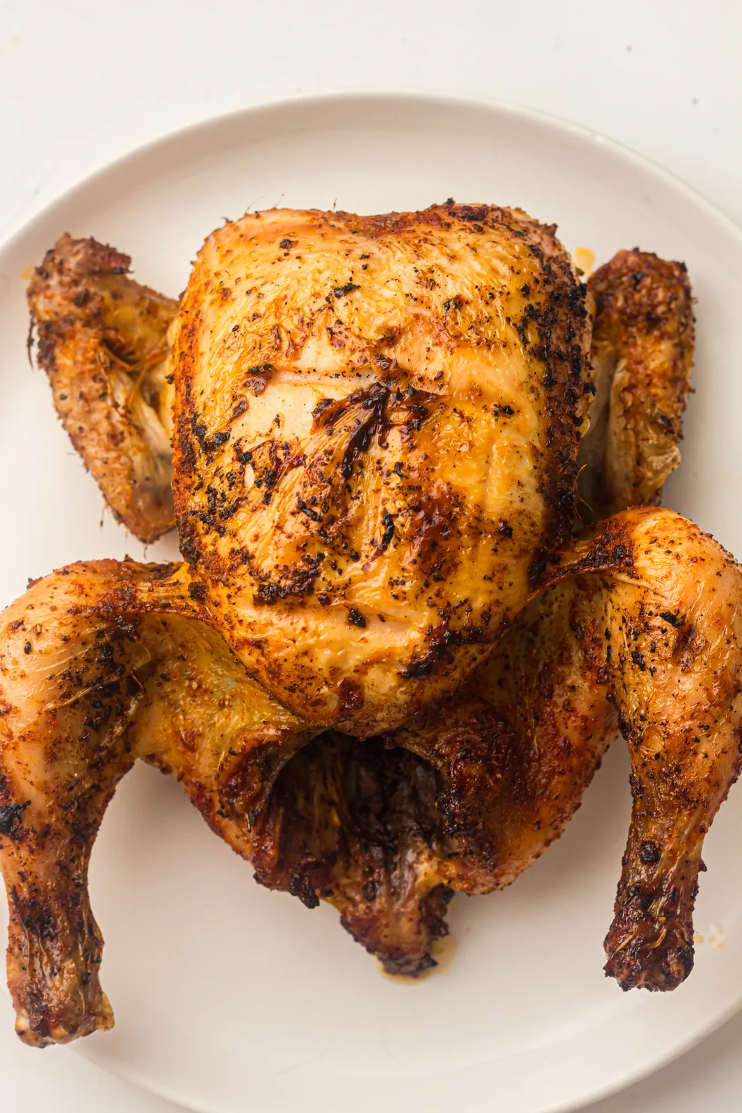 A seasoned bird cooking over the coals with the lid ready to close
