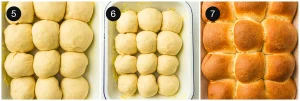 Shaped dough balls risen and puffy in the pan before baking
