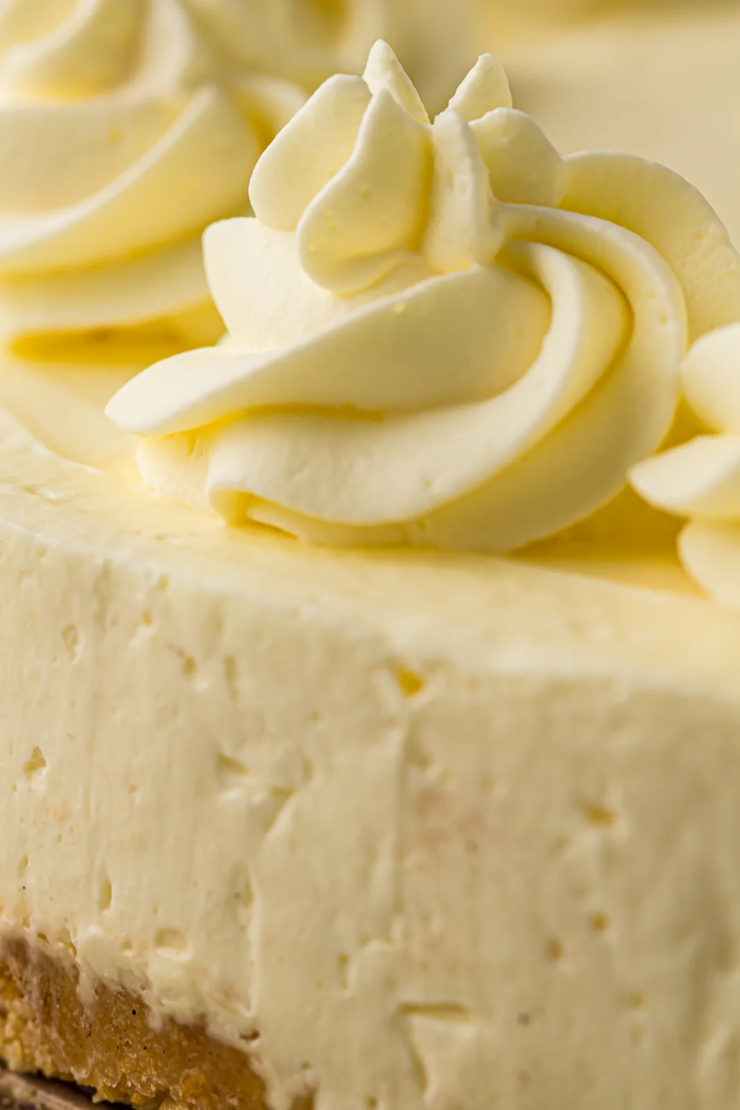 A creamy no bake cheesecake topped with whipped cream swirls