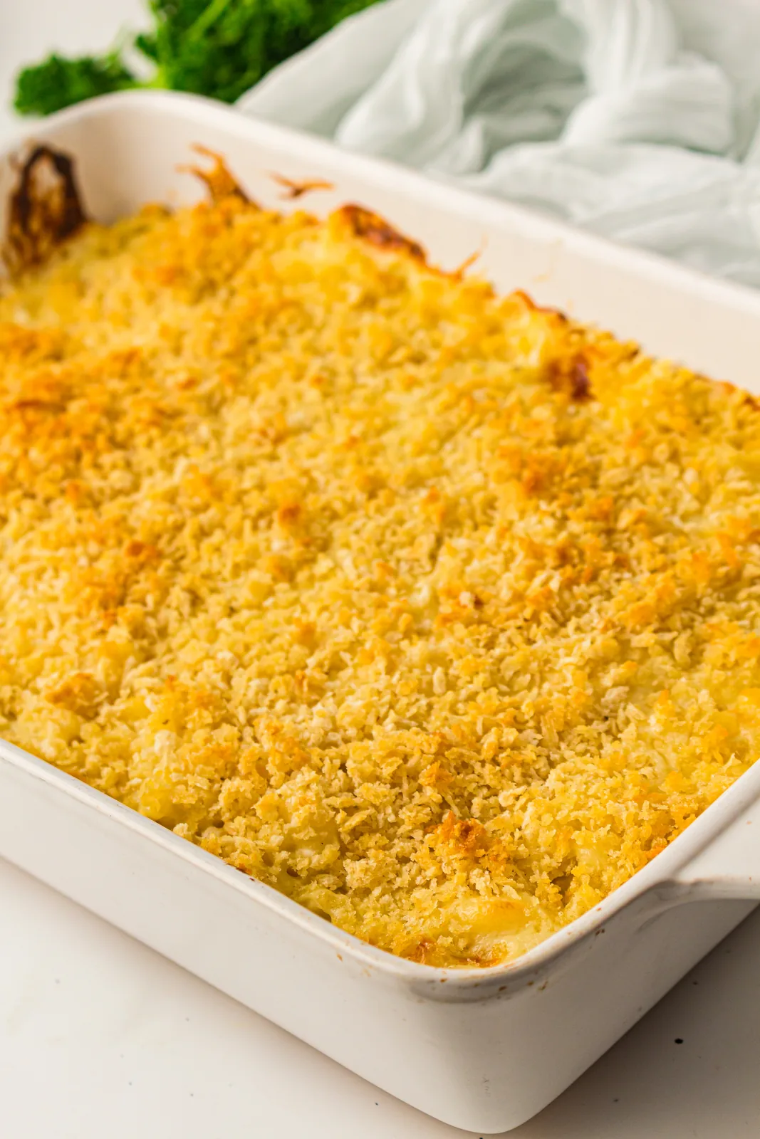 Baked mac and cheese in a white dish with a golden buttered breadcrumb crust