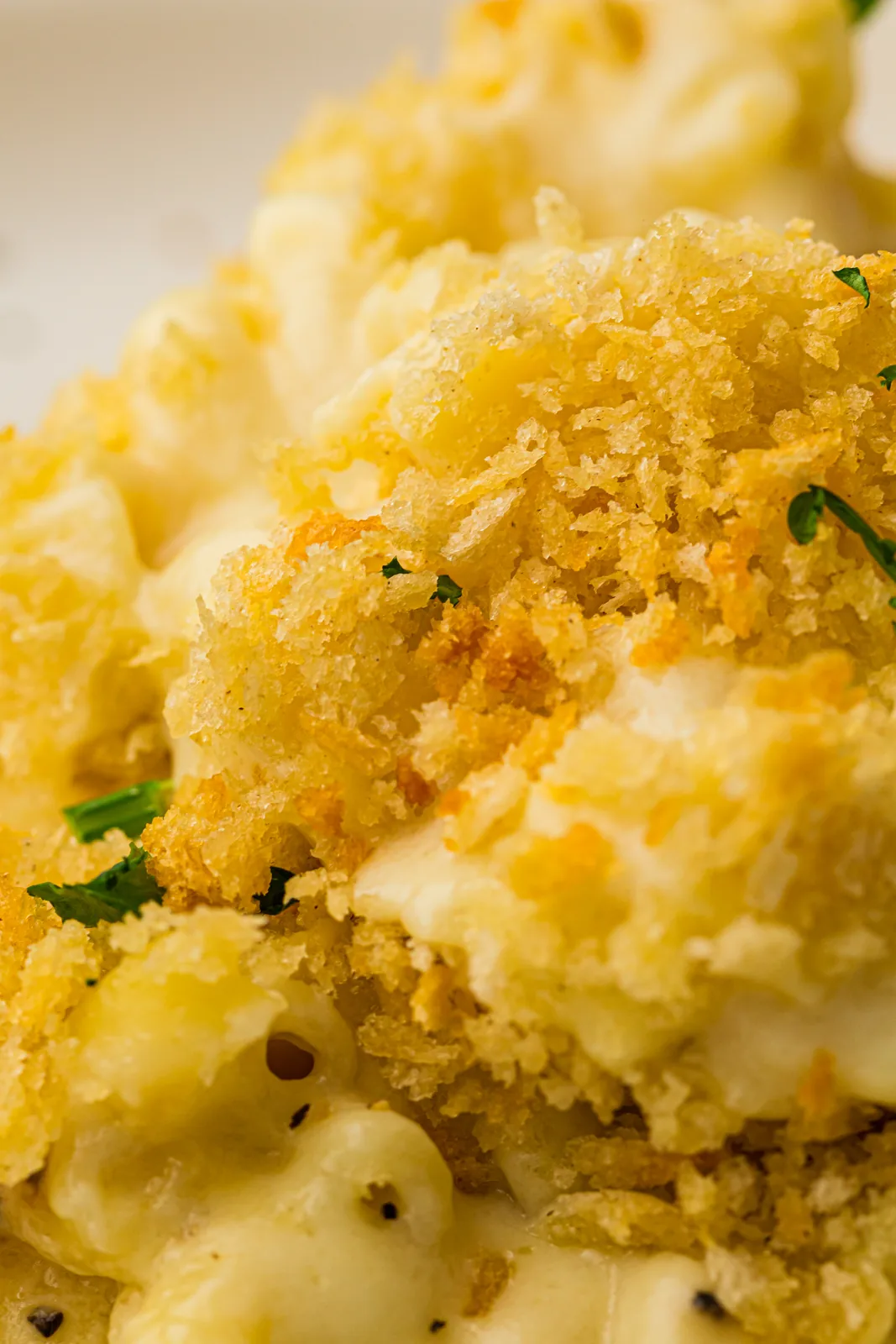 A serving of creamy elbow pasta lifted out with the golden crumb topping still intact