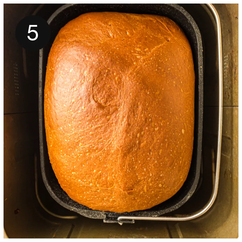 Deeply golden risen loaf filling the machine pan at the end of the cycle