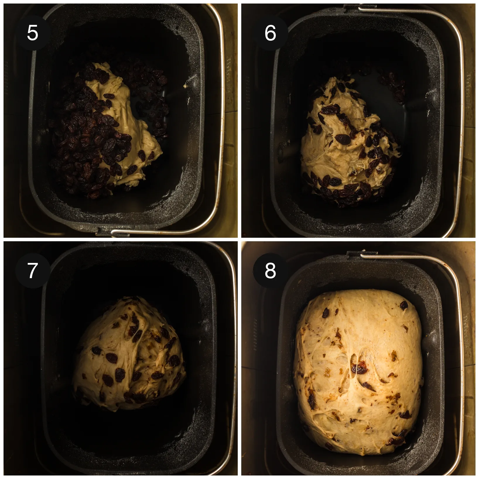 Dough kneading in the pan with whole plump fruit folded evenly through it