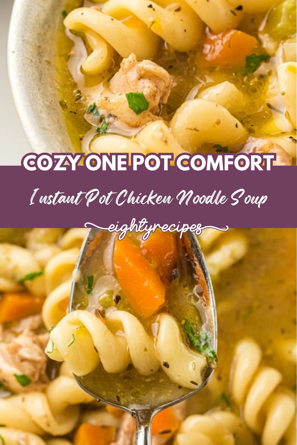 instant pot chicken noodle soup