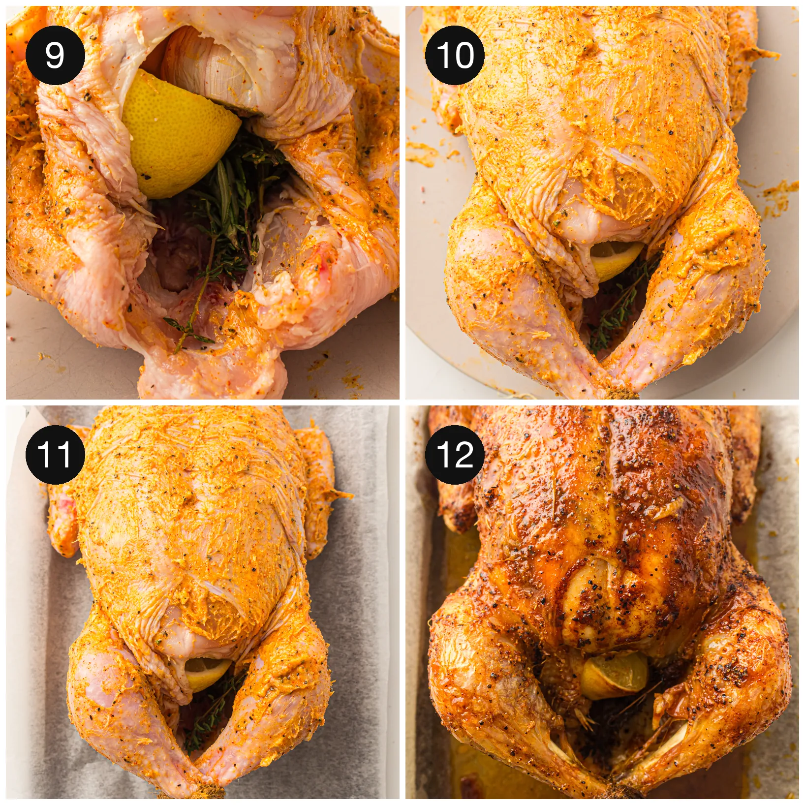 Trussed bird sitting breast side up in a roasting tin ready for the oven