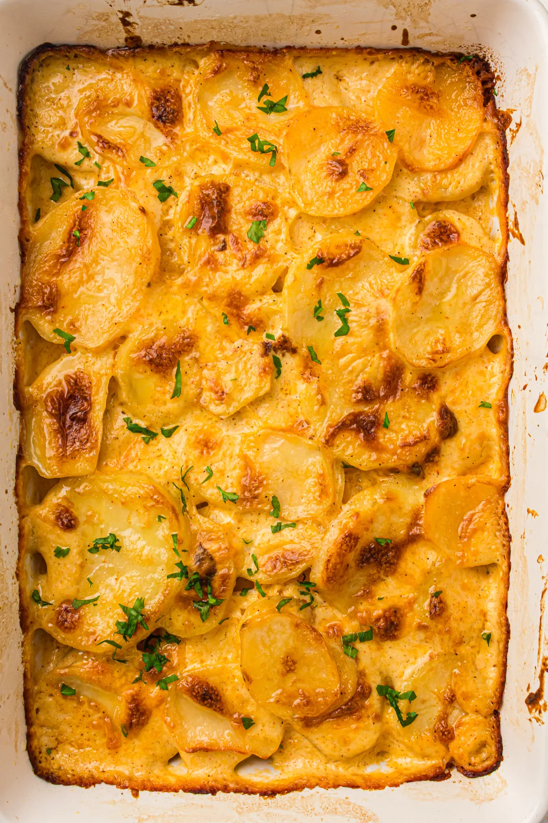 The whole baked dish scattered with chopped parsley