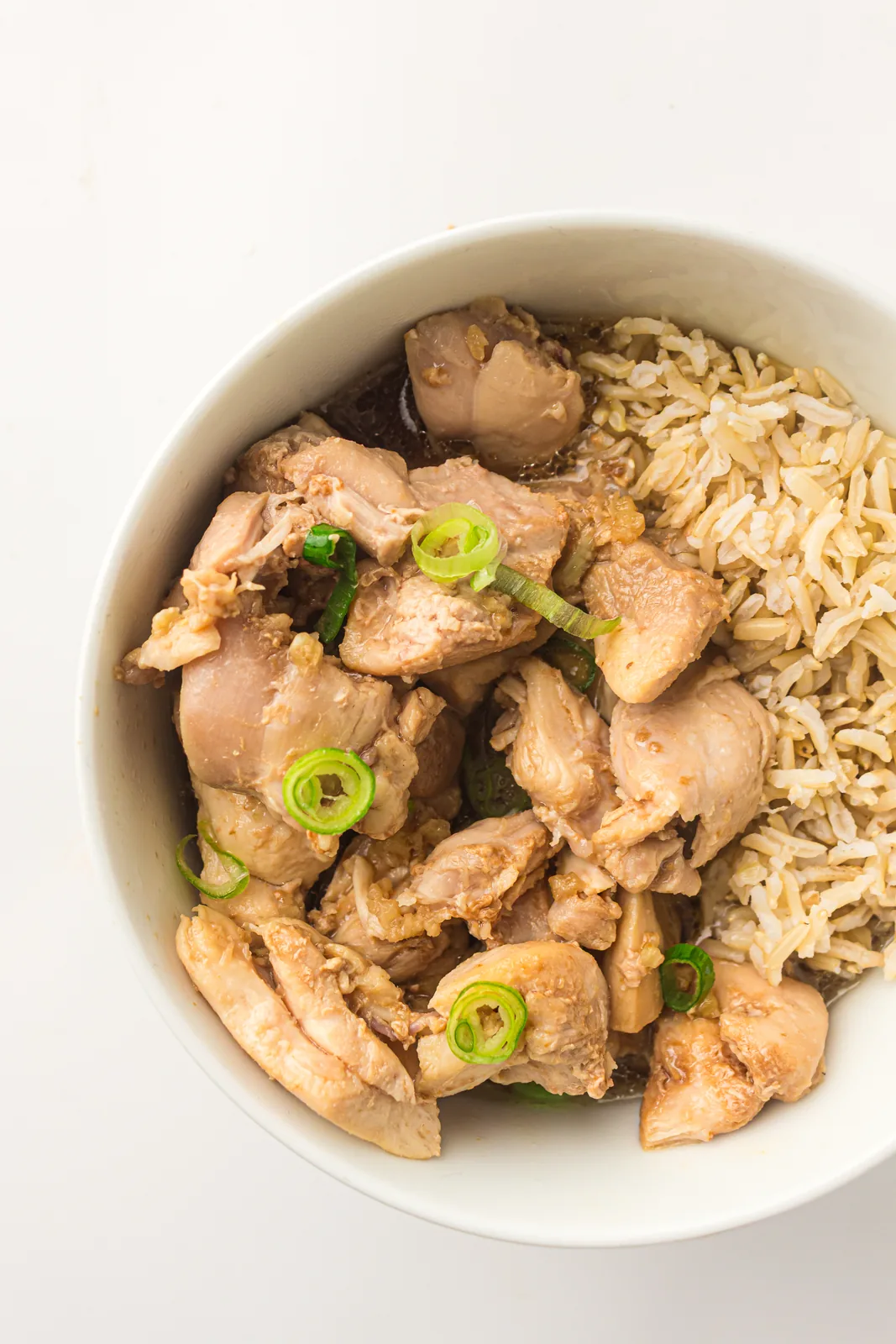 A bowl of glazed meat and rice scattered with sliced spring onion