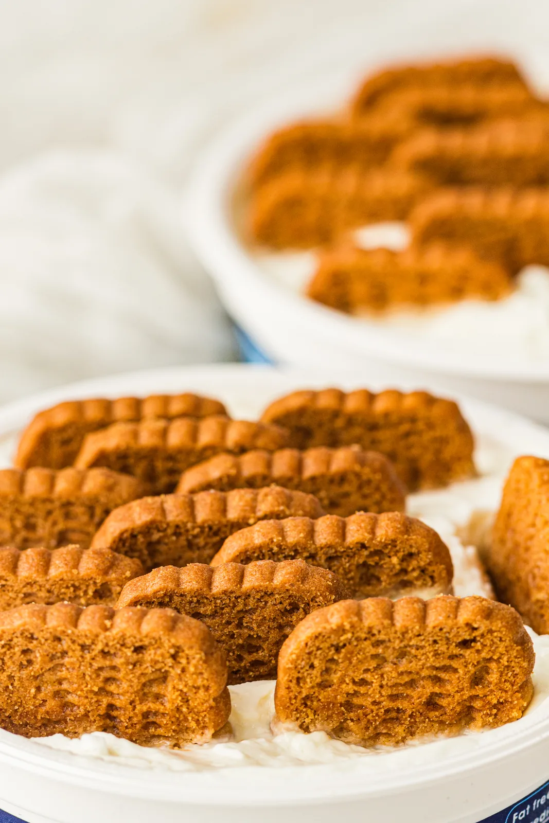 Caramel biscuits standing upright in thick white yogurt before chilling