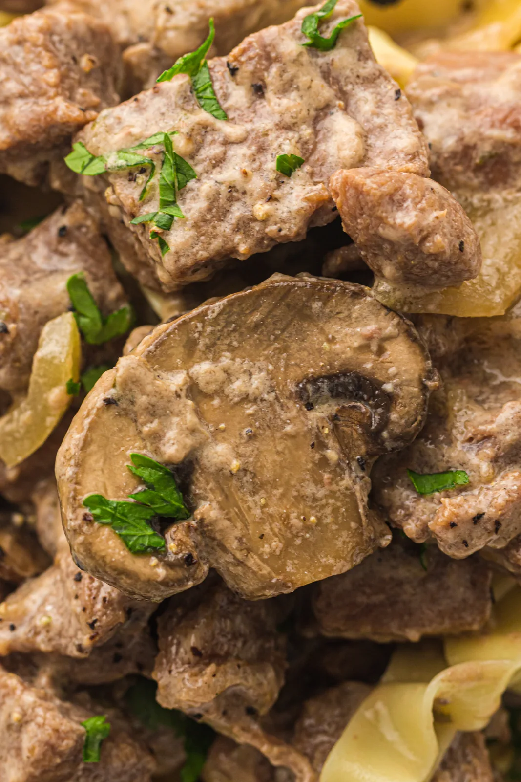Close view of tender mushrooms sitting in the pale creamy sauce
