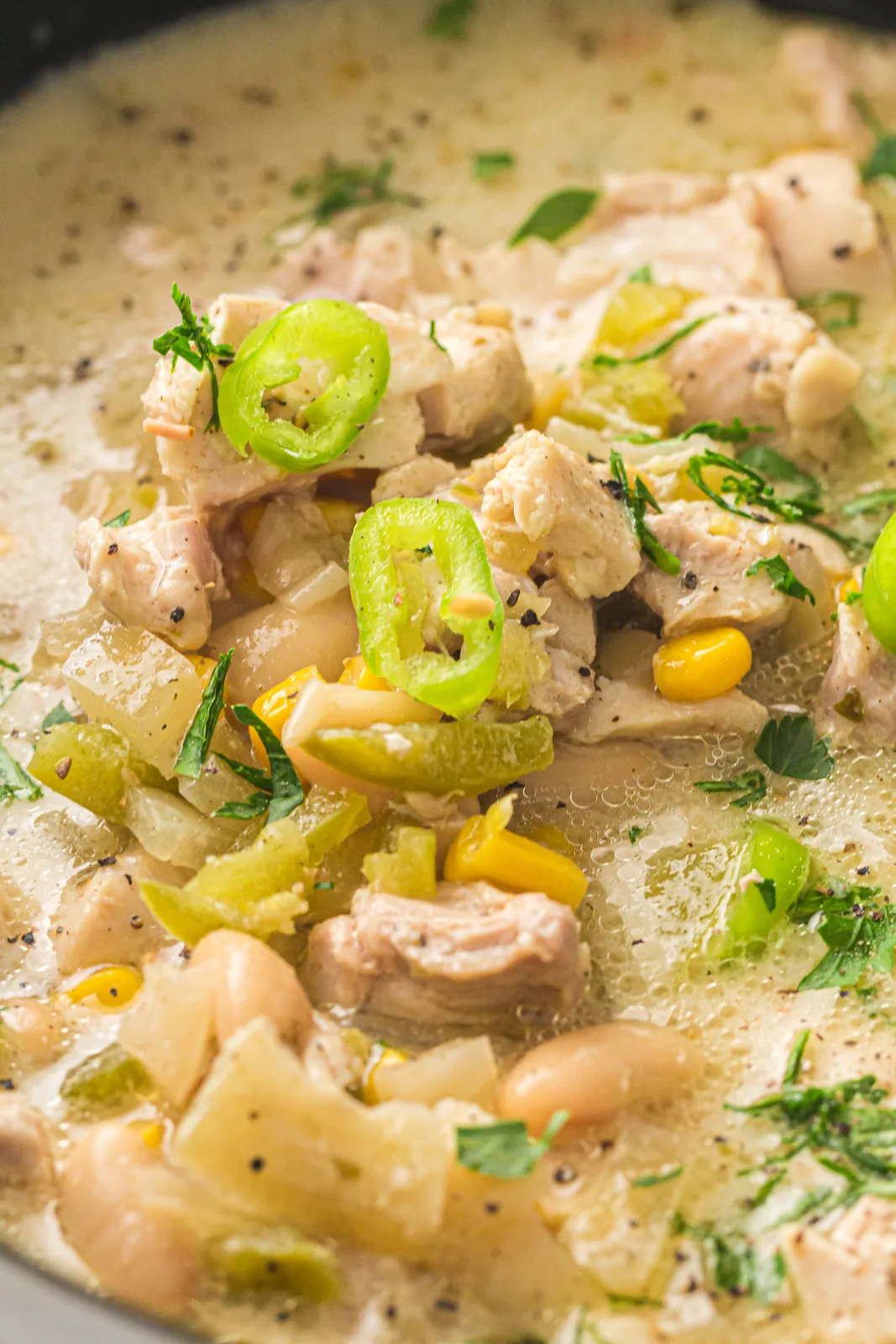 Close up of the creamy stew with sliced green jalapenos and fresh coriander