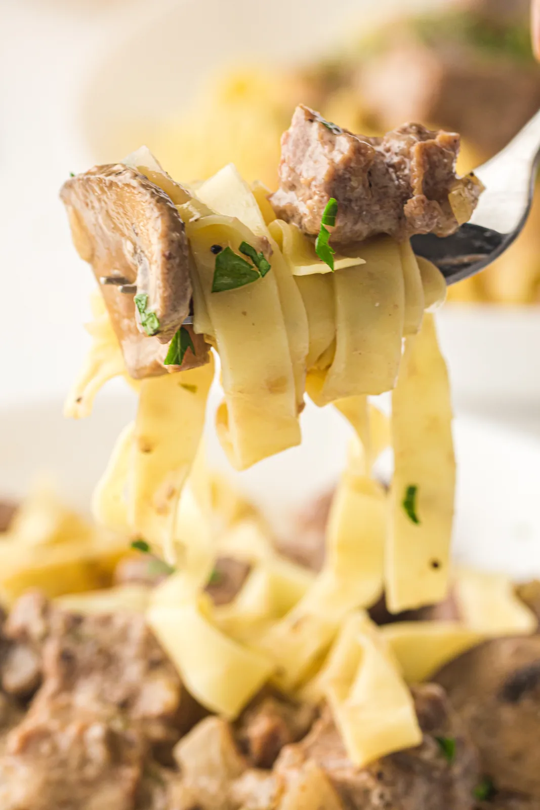 A forkful of noodles and tender chunks lifted from the plate