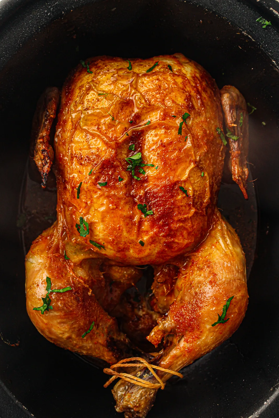 A burnished bird sitting in the black ceramic crock
