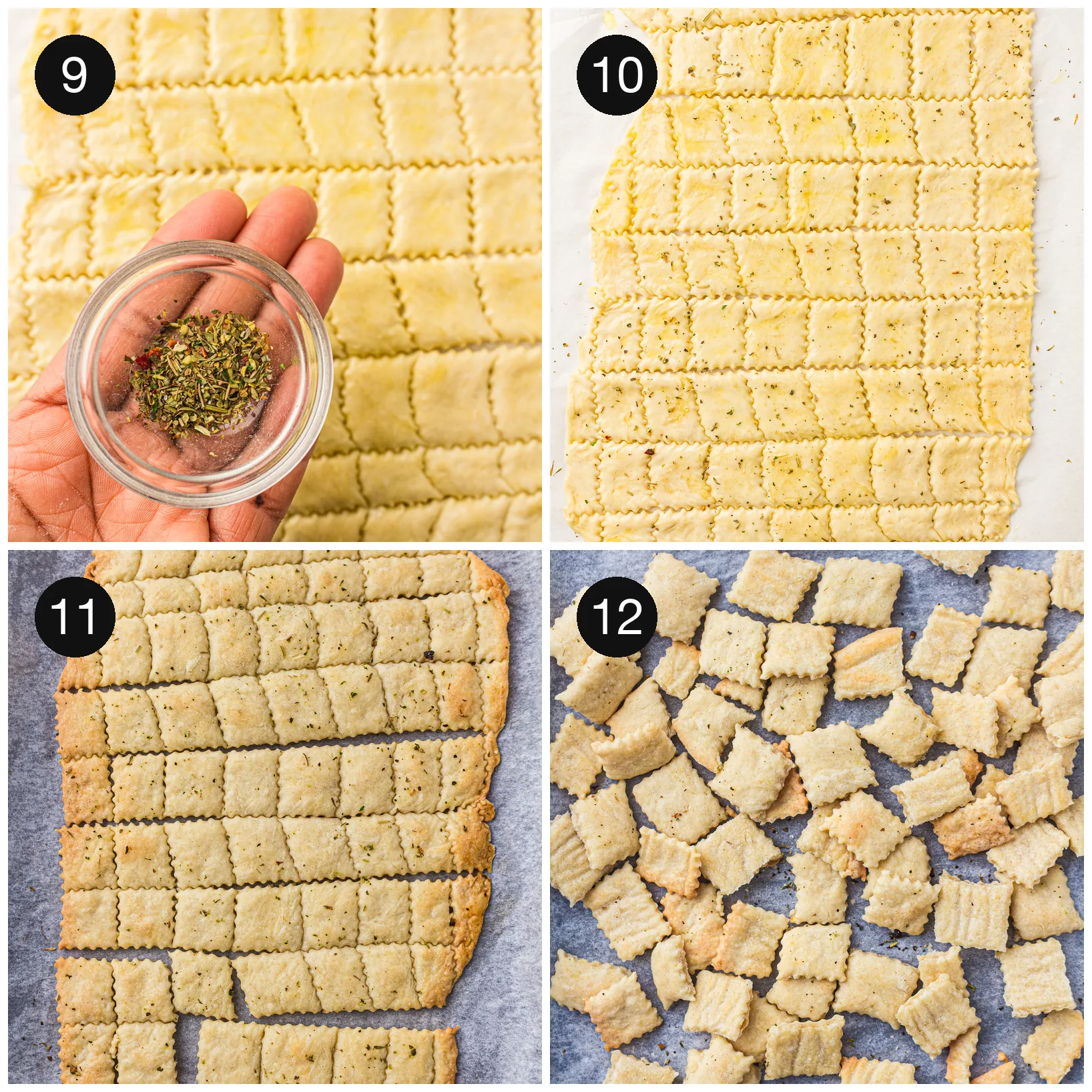 Dried herbs pressed into the dough, then the baked sheet broken into squares