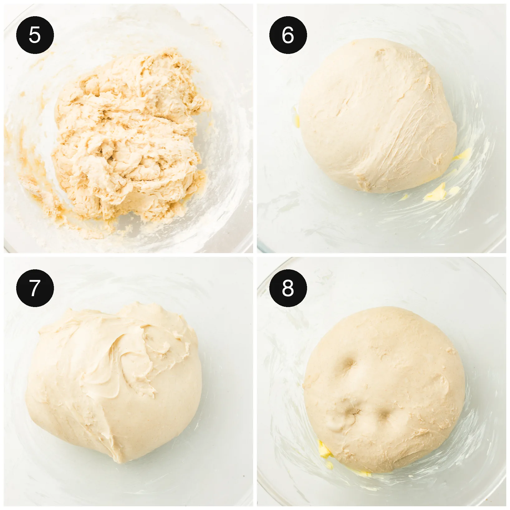 Kneading the shaggy dough into a smooth ball, then the first rise in a bowl