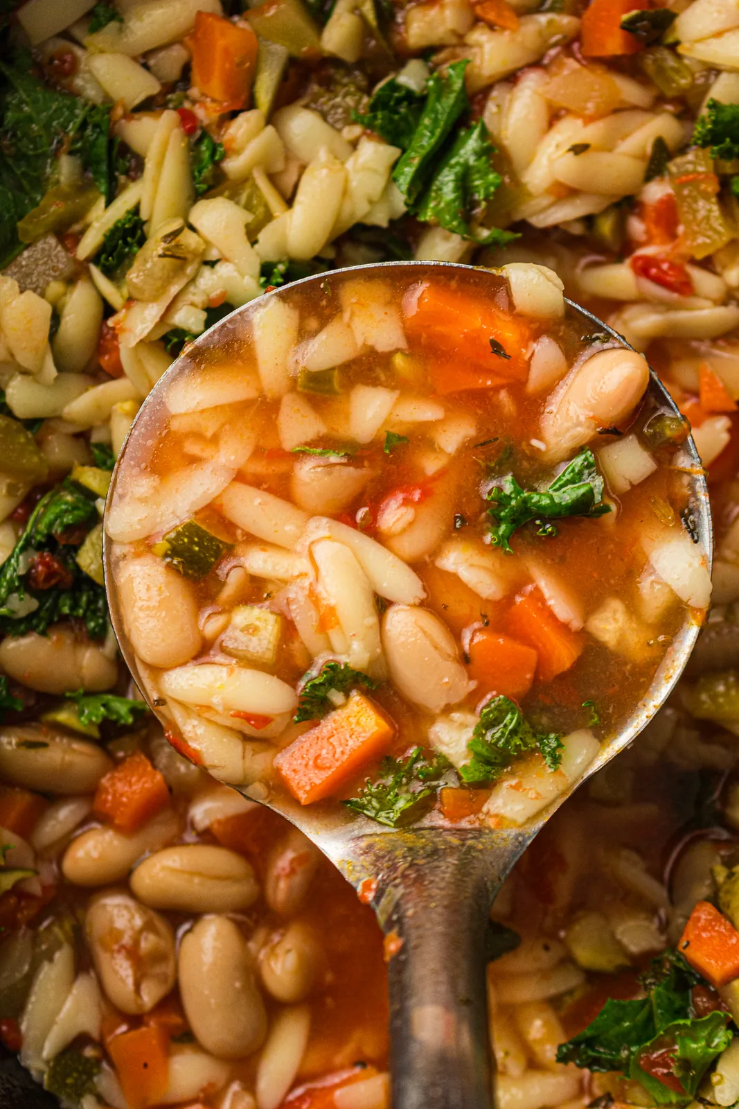 A ladle of white beans, diced carrot and dark leafy greens in tomato broth