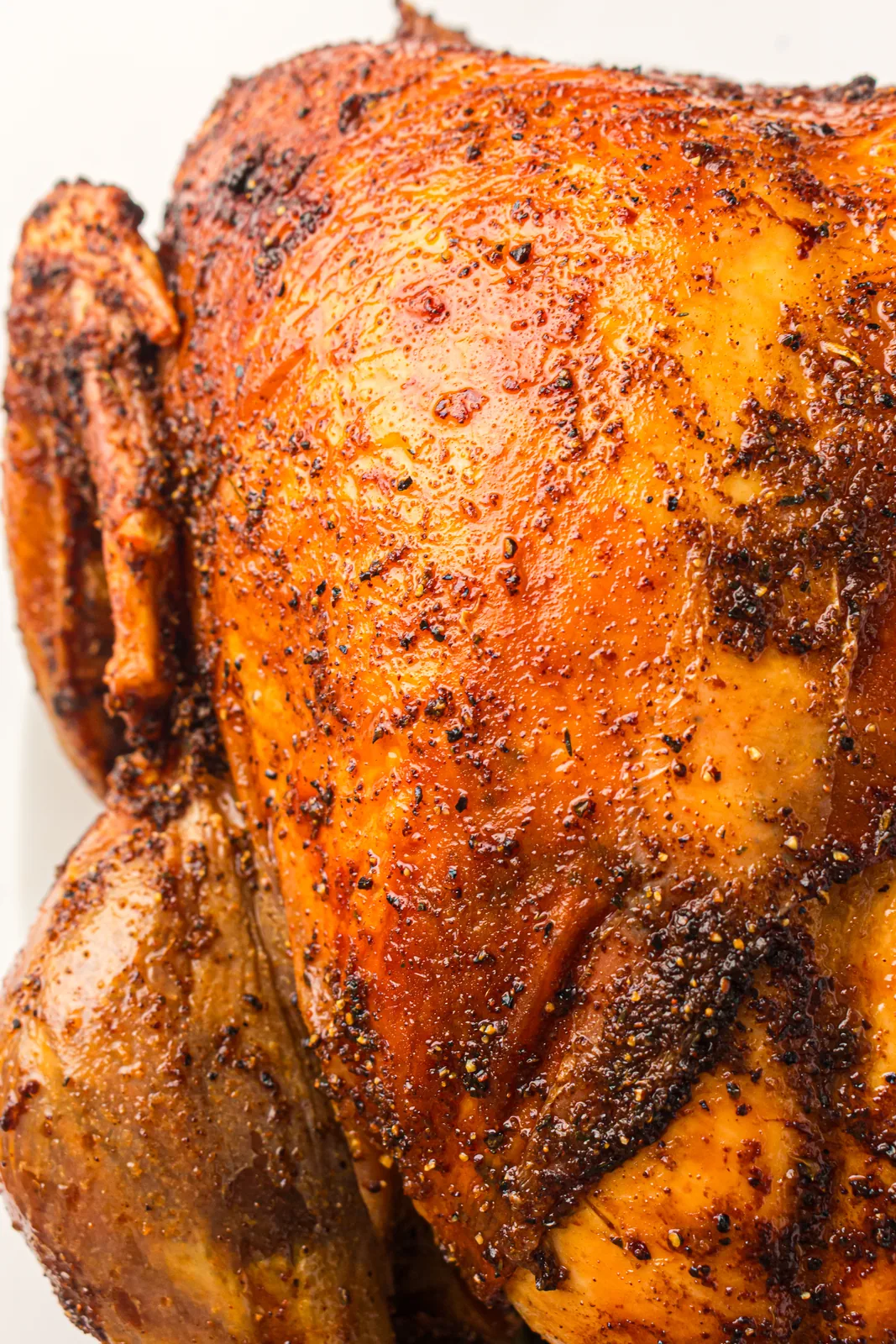A whole roast turkey with burnished golden skin resting on a serving platter