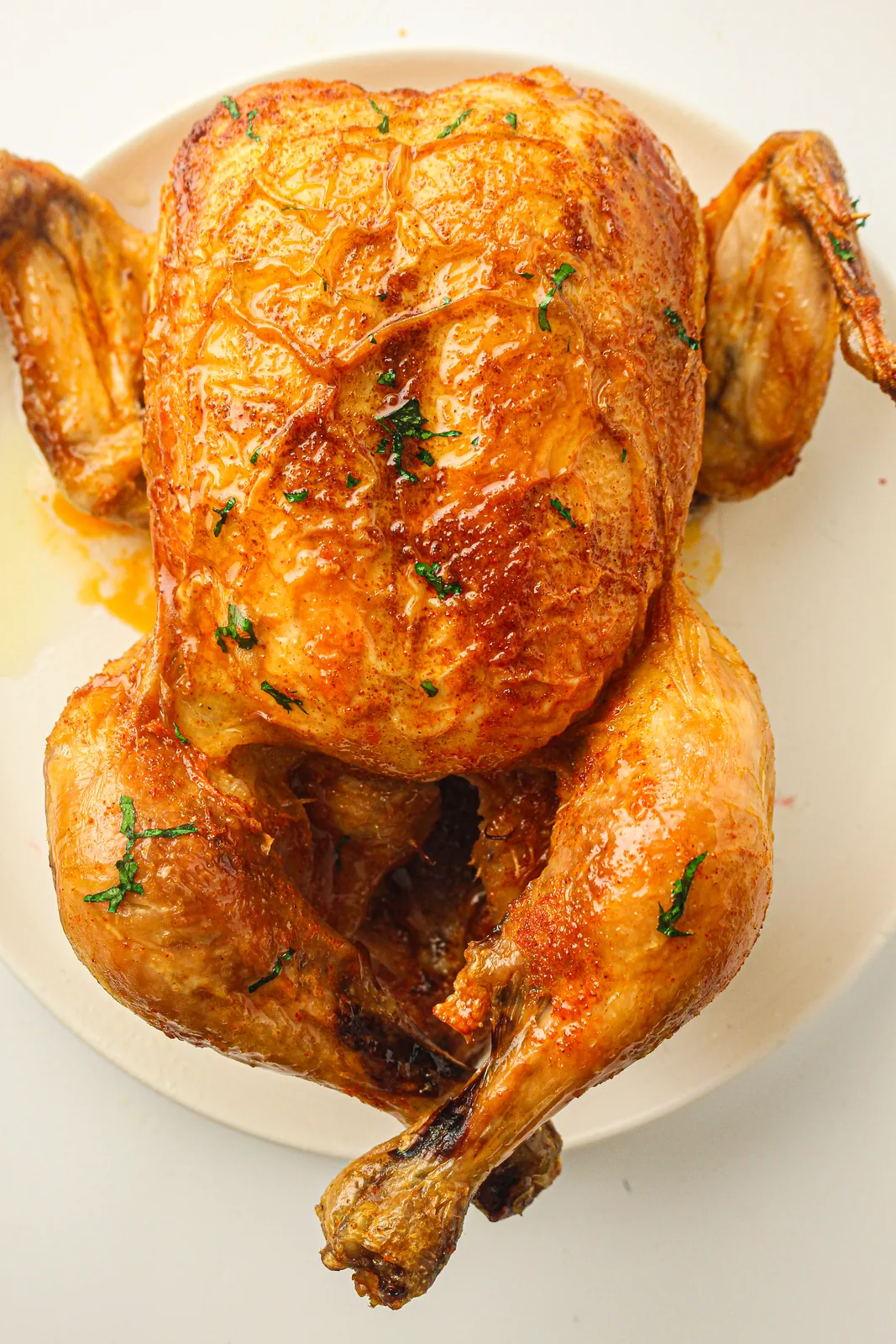 A whole slow cooker whole chicken resting on a white plate