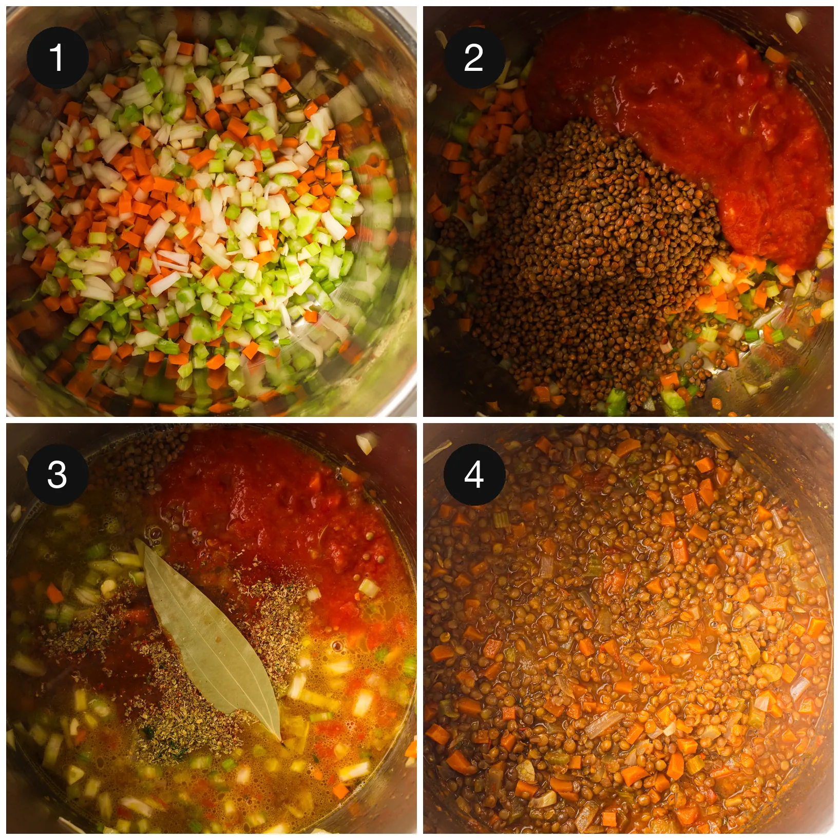 Finely diced onion, carrot and celery softening, then tomatoes and spices added