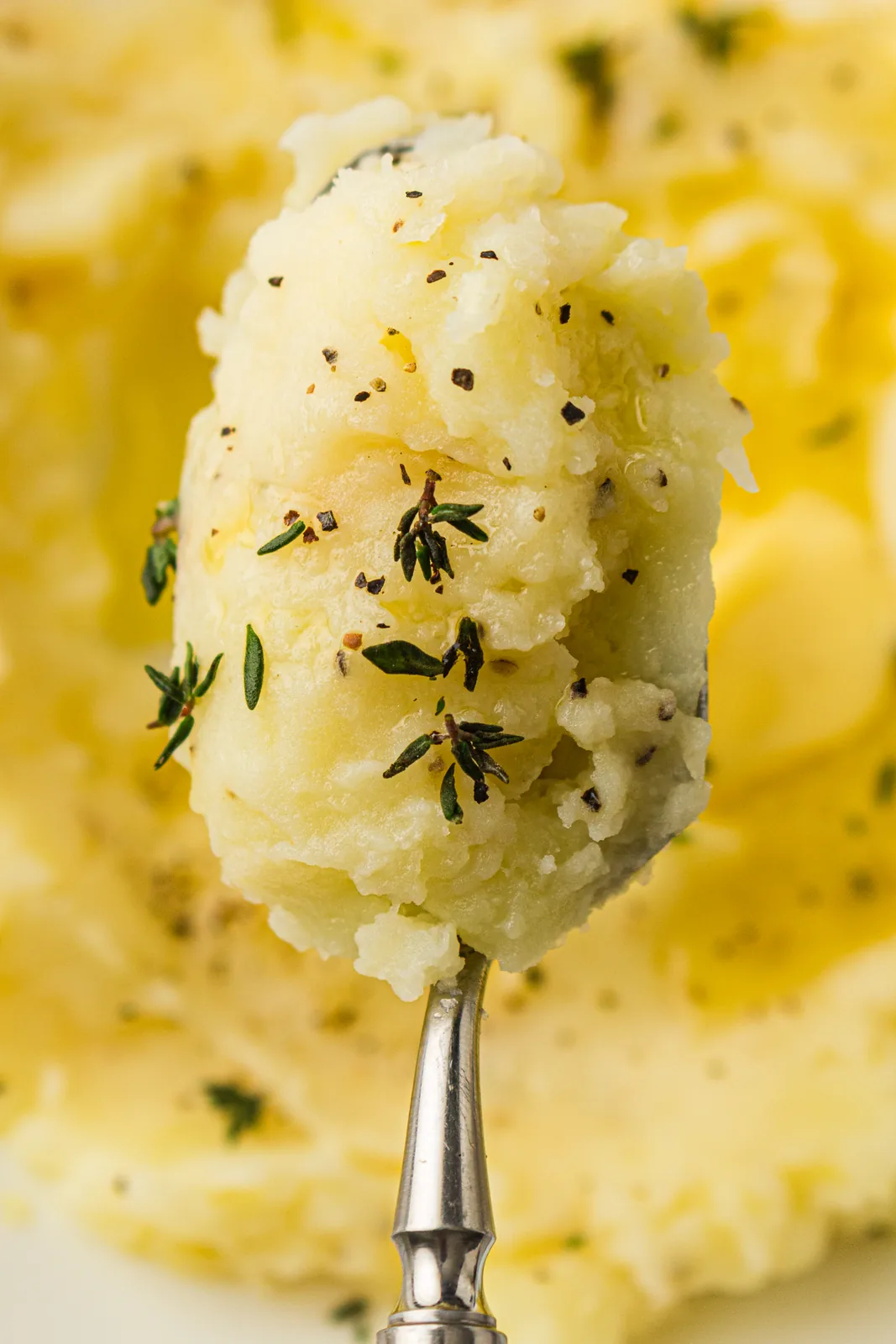 A spoonful lifted from the dish, flecked with thyme and cracked black pepper