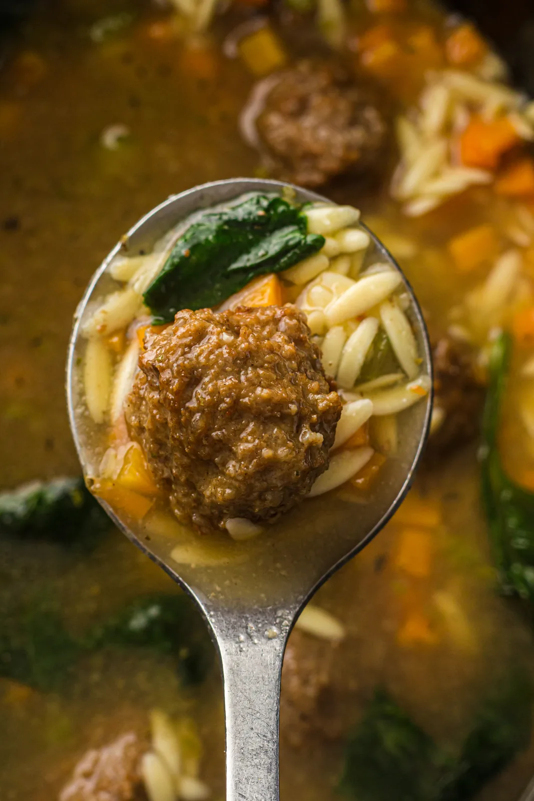 A spoonful of tiny pasta, diced carrot and dark leafy greens