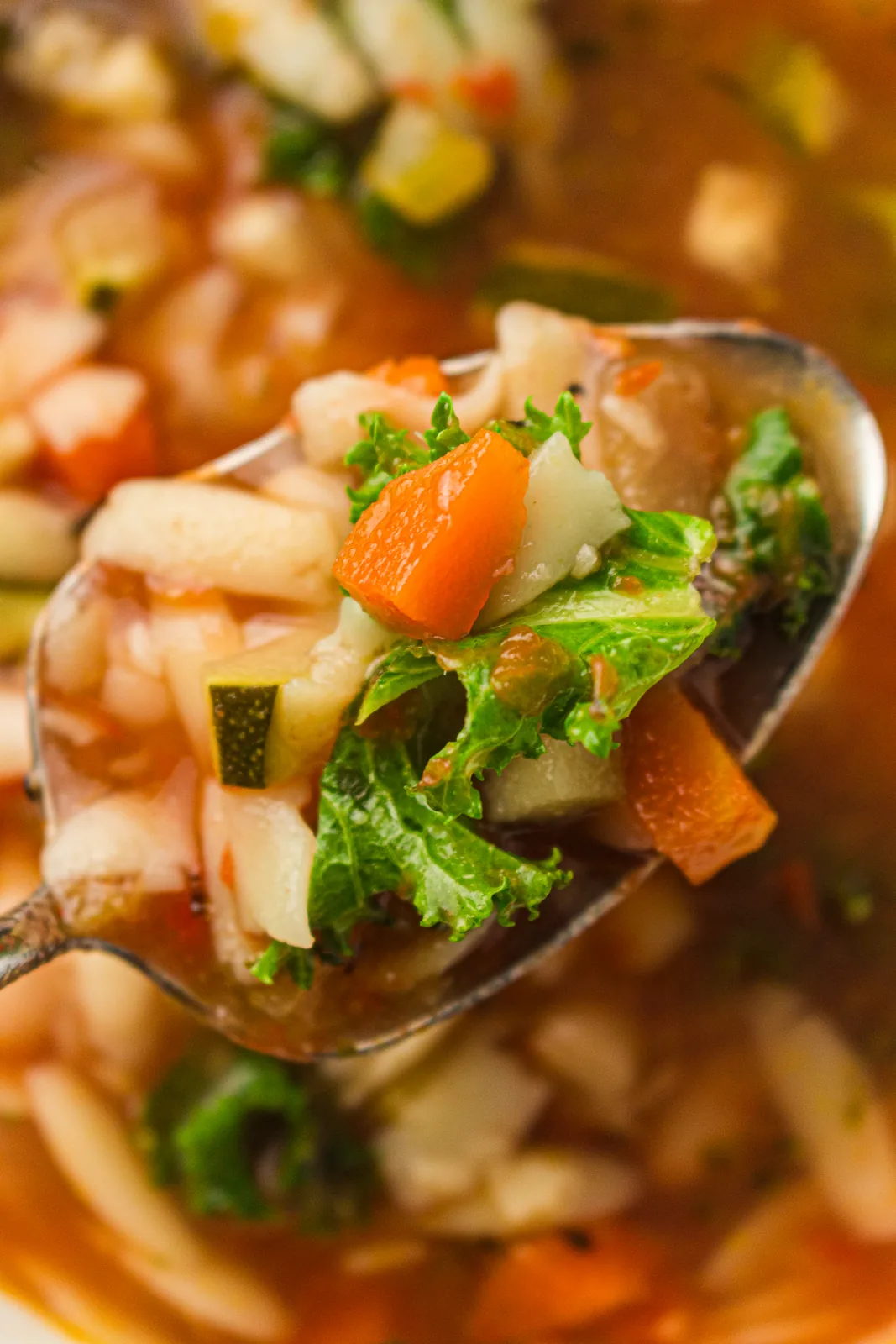 A spoonful of diced vegetables and tiny pasta lifted from the bowl
