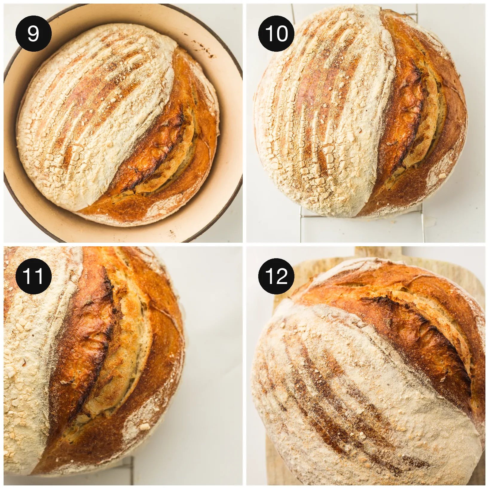 The baked round with a burnished, crackled crust cooling on a rack
