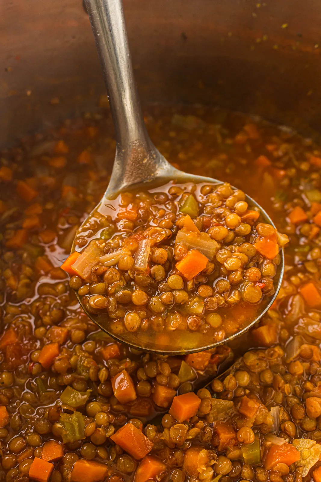 Vegetarian lentil soup ladled from the pot with carrot and celery visible