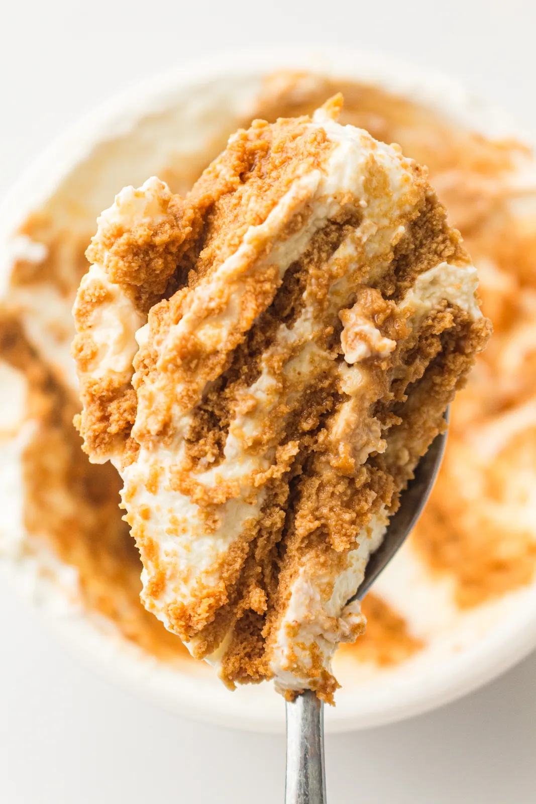 A spoonful of yogurt cheesecake lifted to show the soft biscuit layers inside