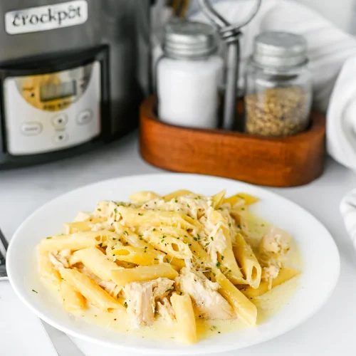Crockpot chicken alfredo with penne on a white plate