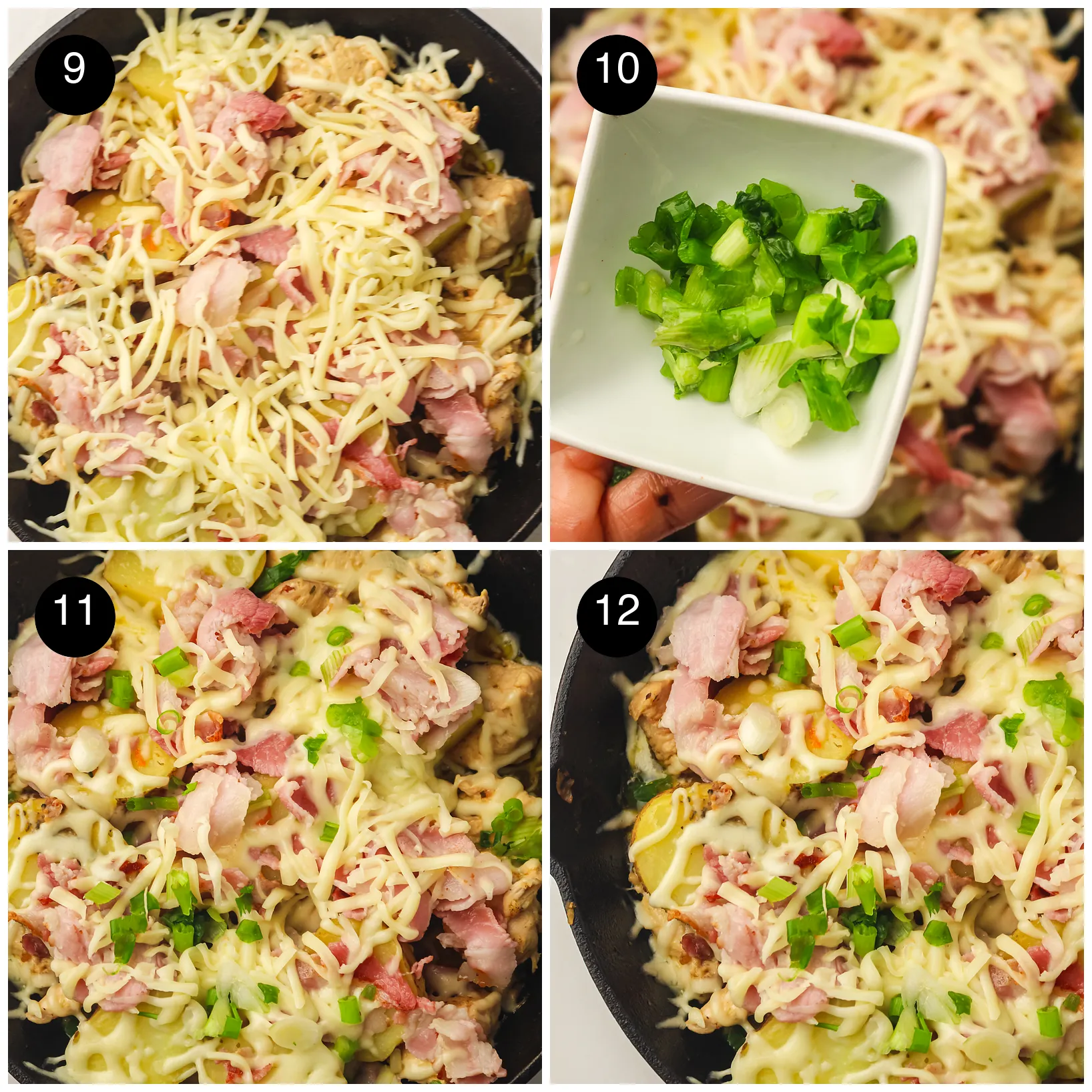 Shredded cheddar melting over the pan and sliced green onions scattered on top