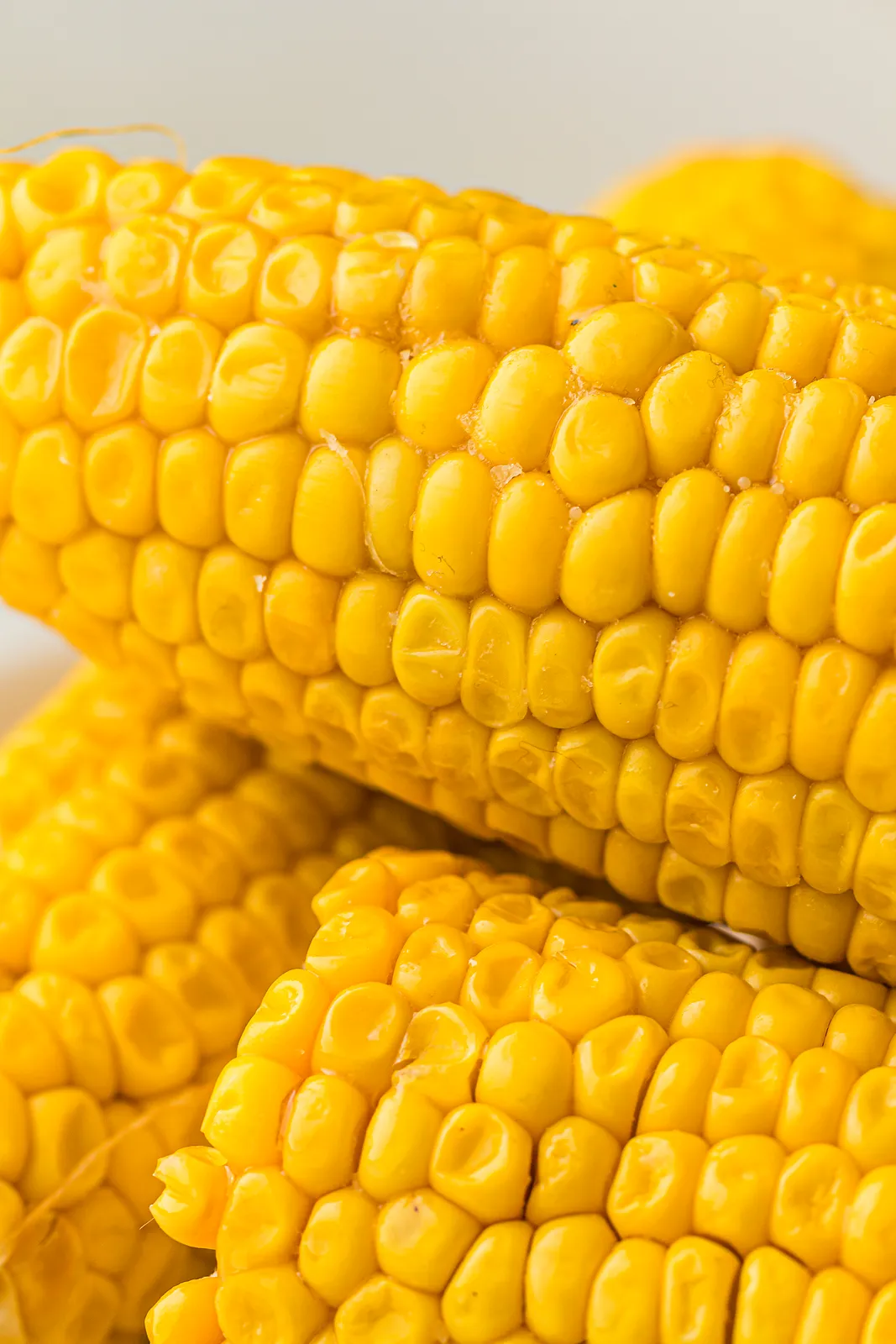 Close up of plump, glossy golden kernels on stacked ears