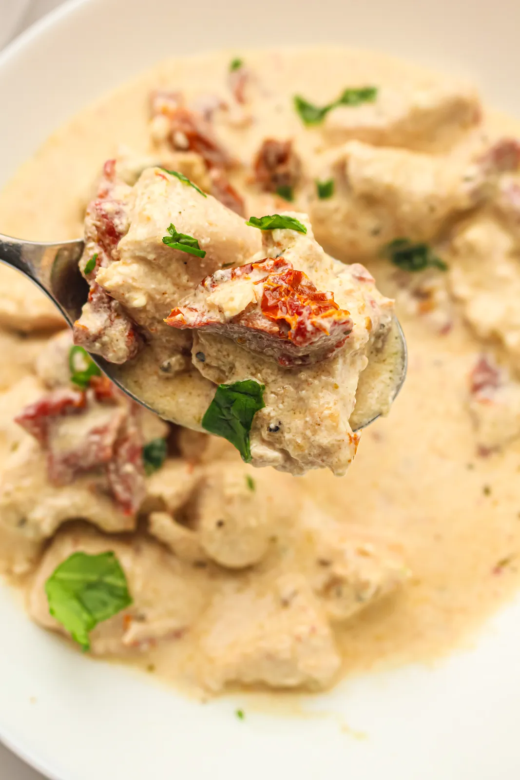 A spoonful of tender pieces and sun-dried tomatoes lifted from the creamy bowl
